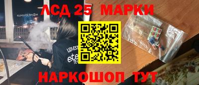 шишки Можга