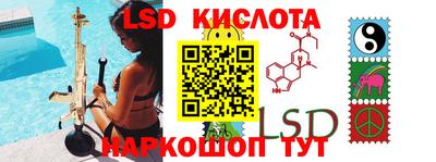 шишки Можга