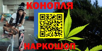 шишки Можга