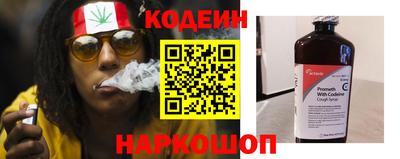 шишки Можга