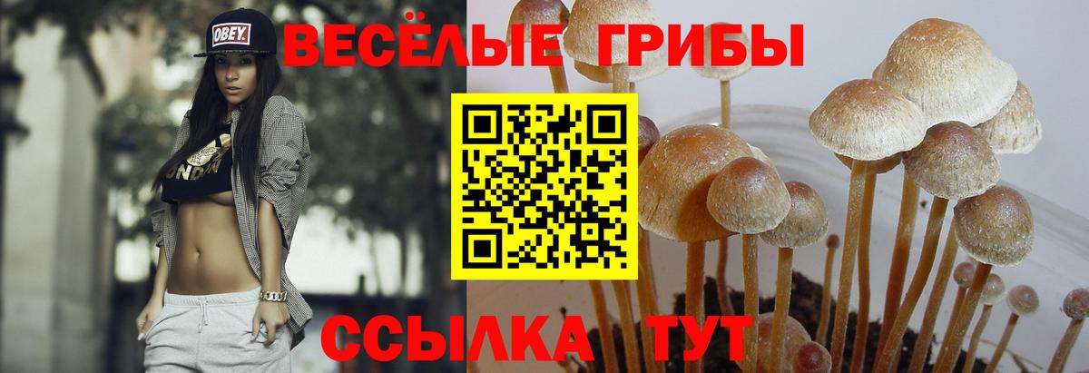 Псилоцибиновые грибы Magic Shrooms Туймазы